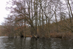 P1000191