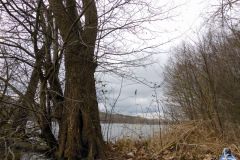 P1000207