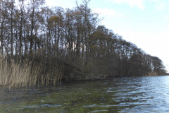 P1000061
