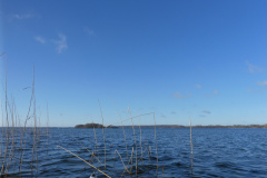 P1000064