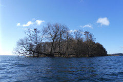 P1000068