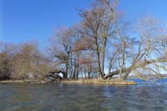 P1000069