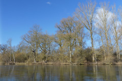P1000081
