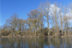 P1000082