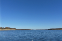 P1000131