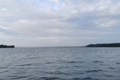 IMG-20210814-WA0002