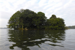 P1000692