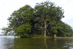 P1000693