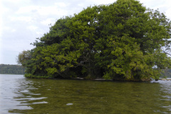 P1000694