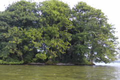 P1000695