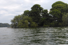P1000699