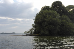 P1000701