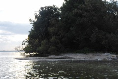 P1000702