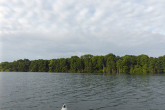 P1000713