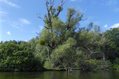 P1000762