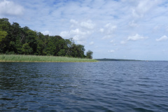P1000769