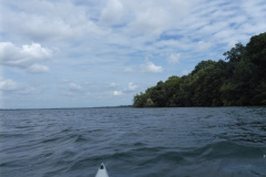 P1000773