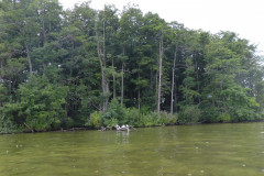 P1000789