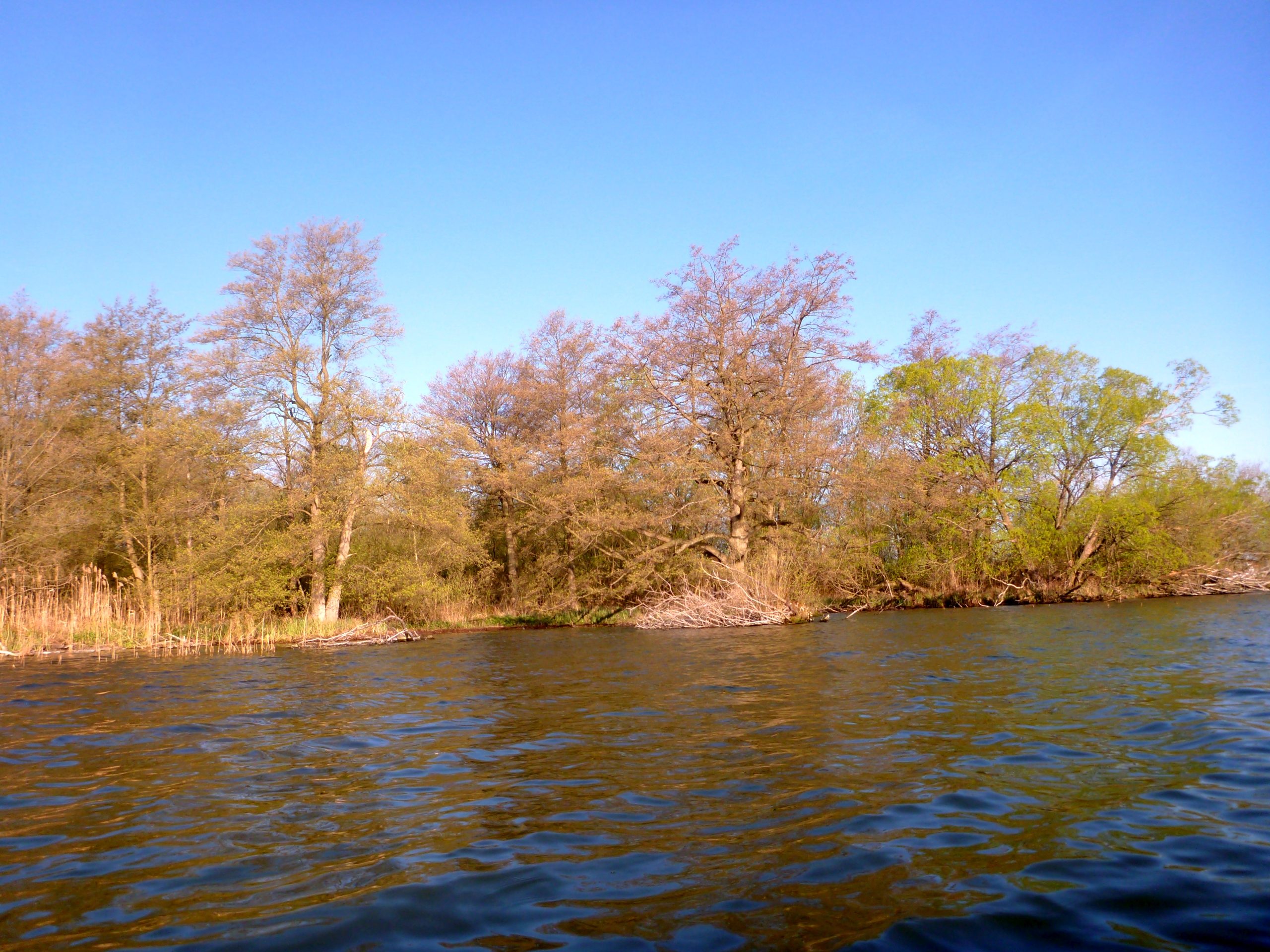 Schweriner-See-Inseln-Schloss-Stein-017