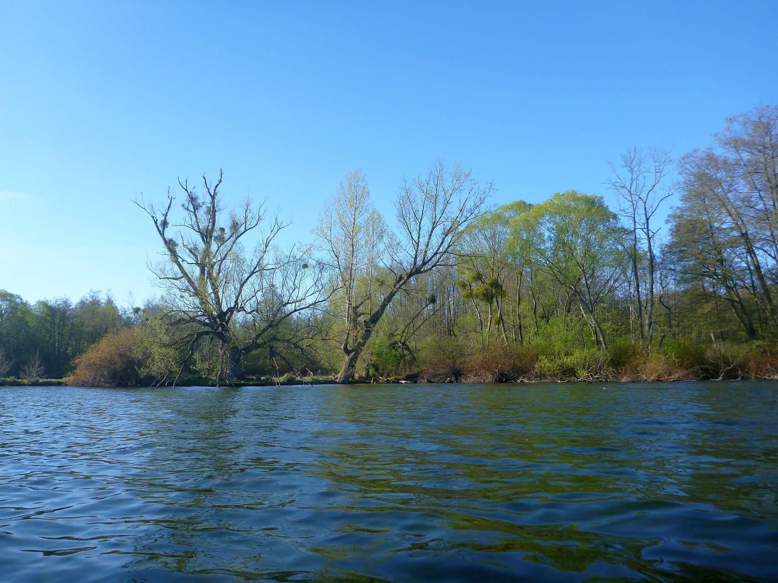 Schweriner-See-Inseln-Schloss-Stein-022