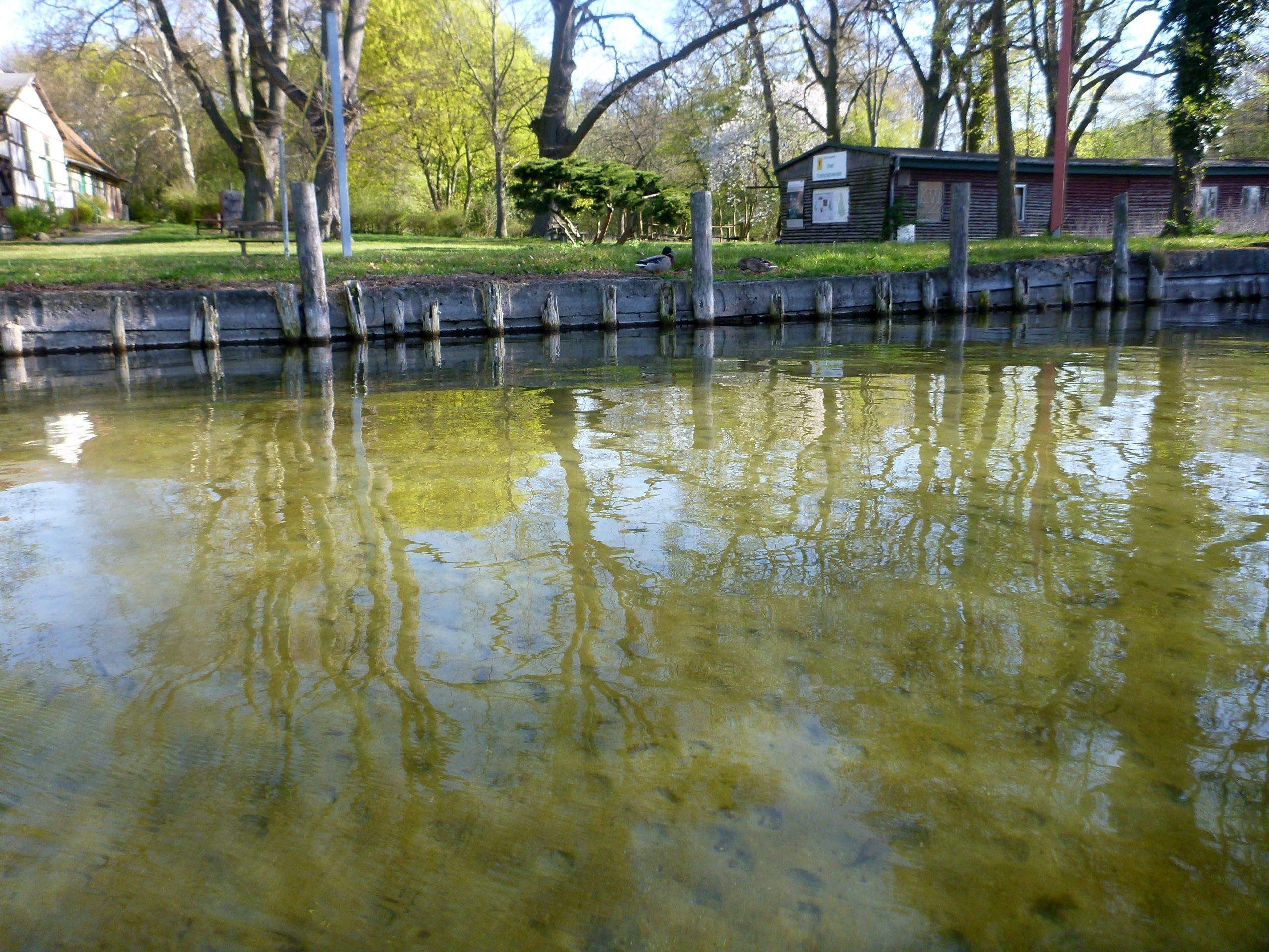Schweriner-See-Inseln-Schloss-Stein-102