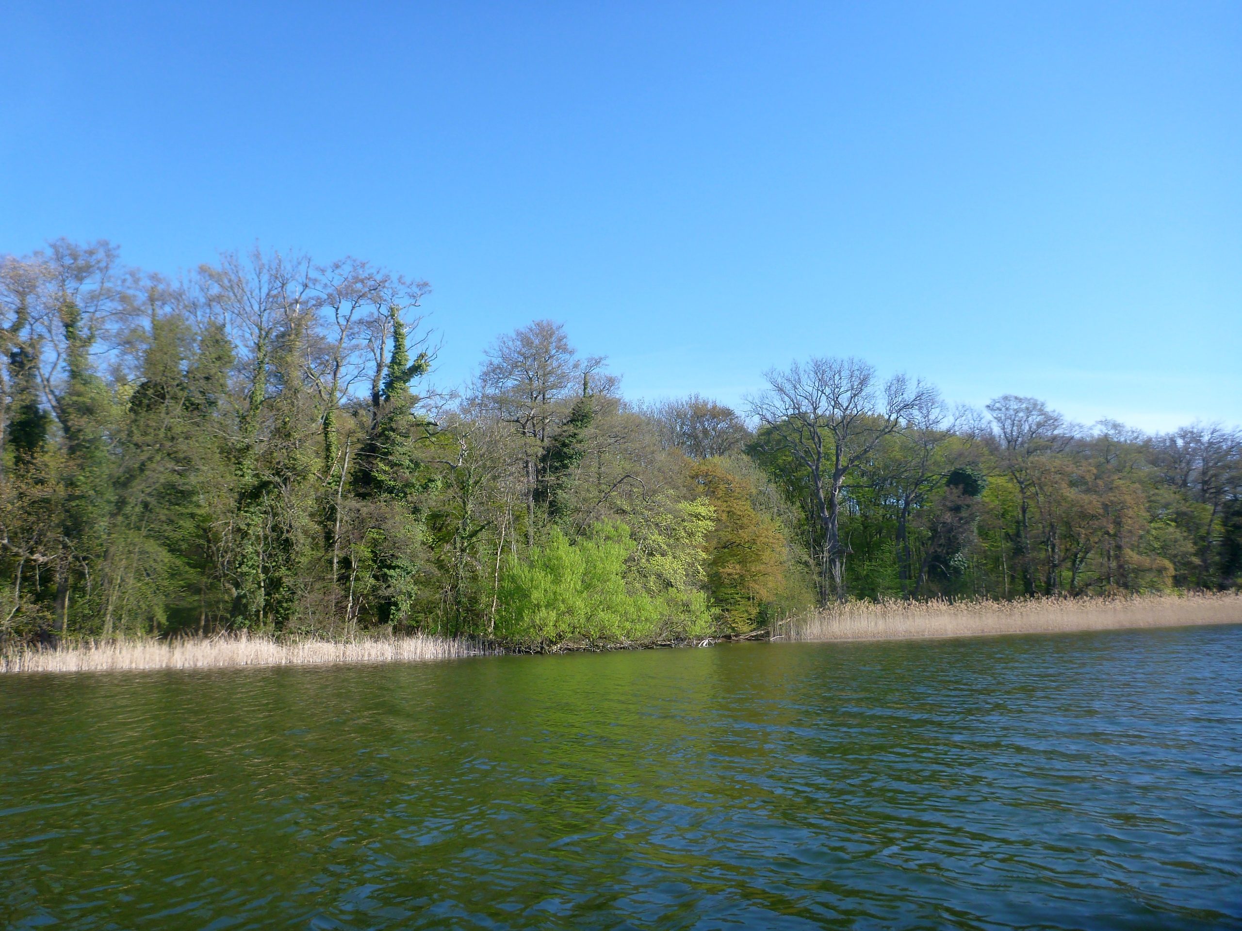Schweriner-See-Inseln-Schloss-Stein-108