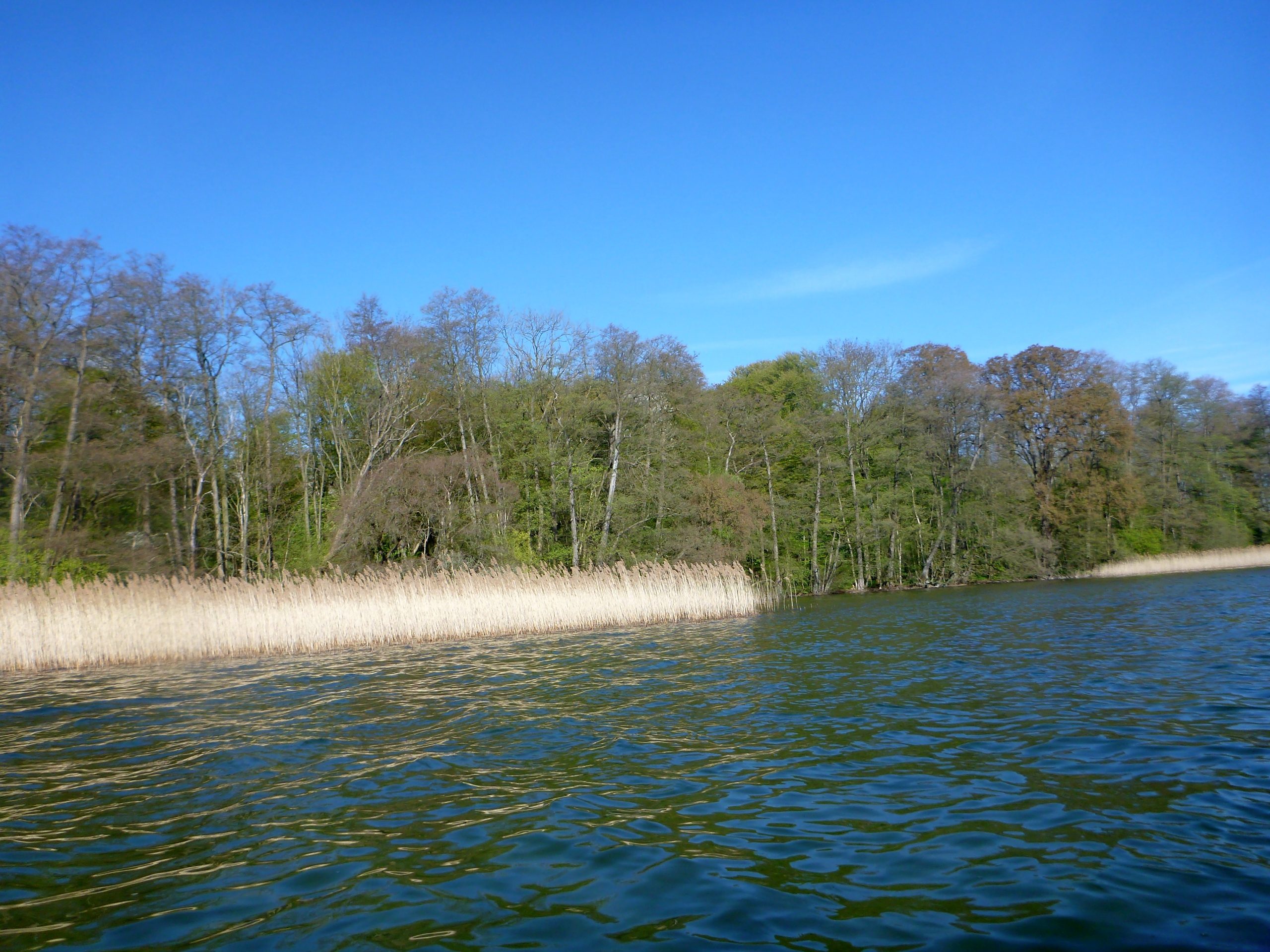 Schweriner-See-Inseln-Schloss-Stein-113