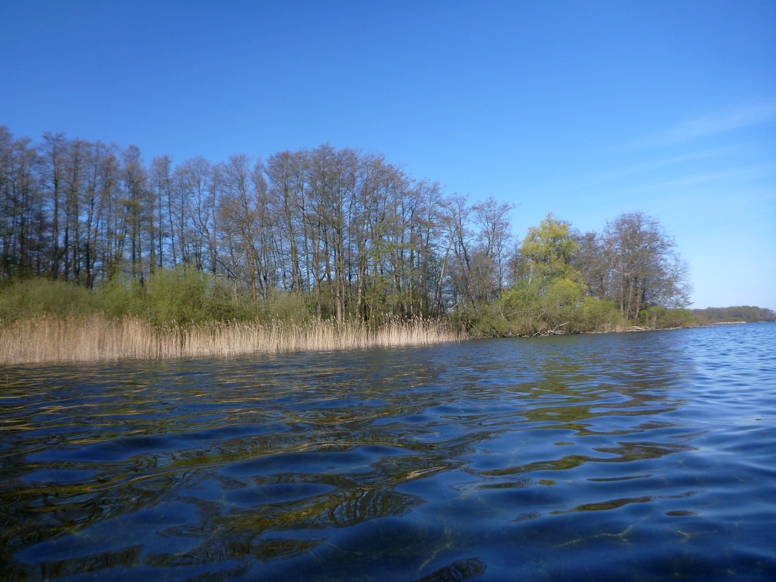 Schweriner-See-Inseln-Schloss-Stein-127