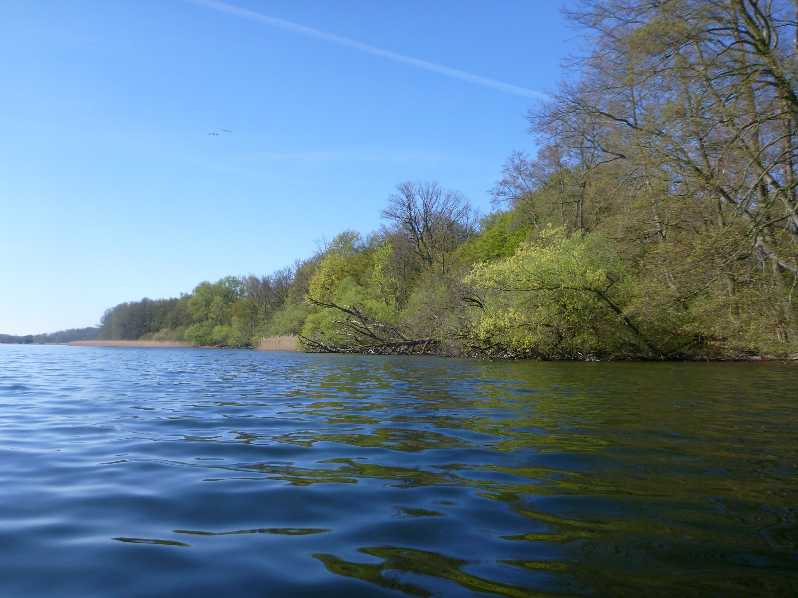 Schweriner-See-Inseln-Schloss-Stein-129