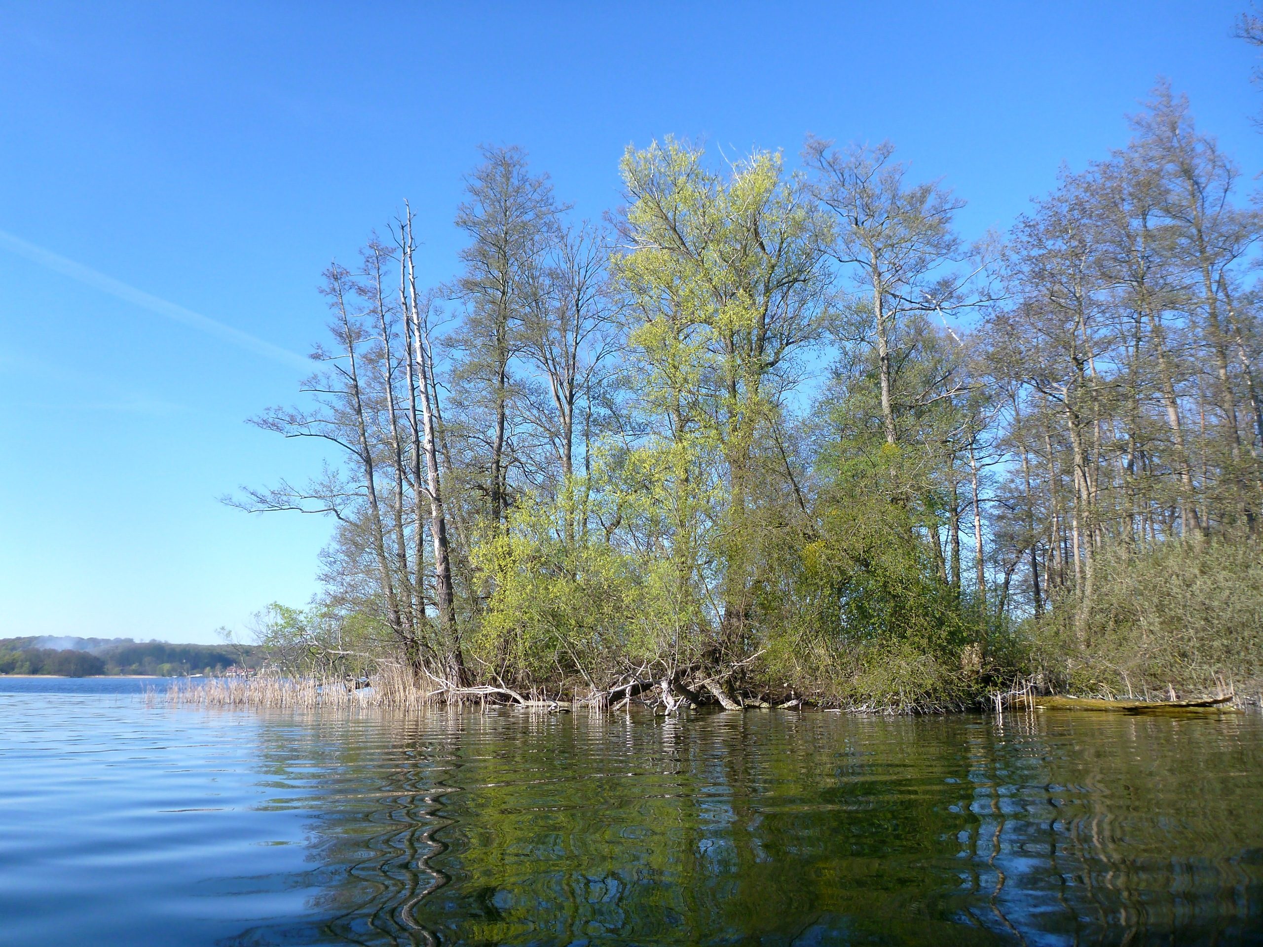 Schweriner-See-Inseln-Schloss-Stein-135