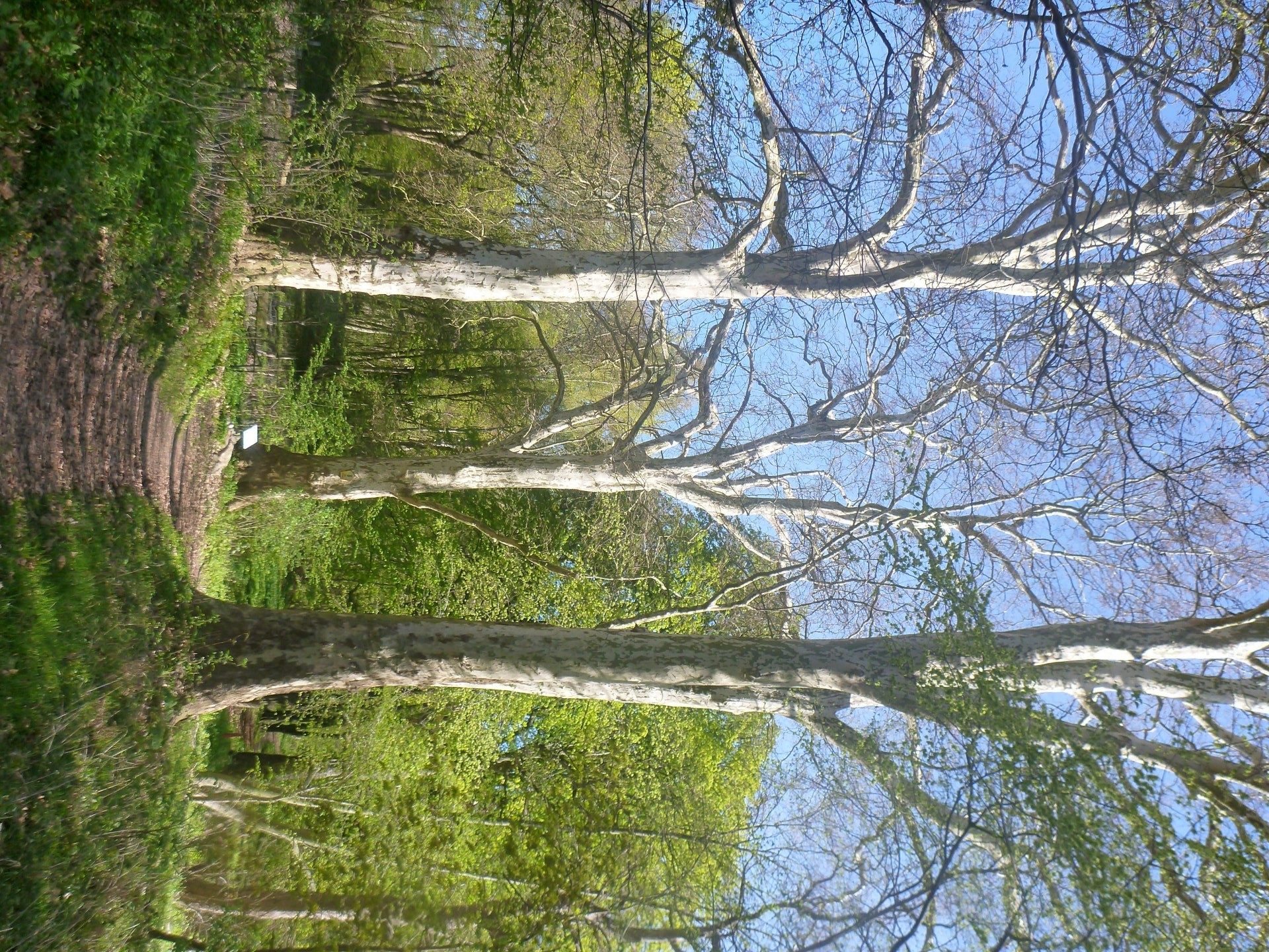 Schweriner-See-Inseln-Schloss-Stein-155