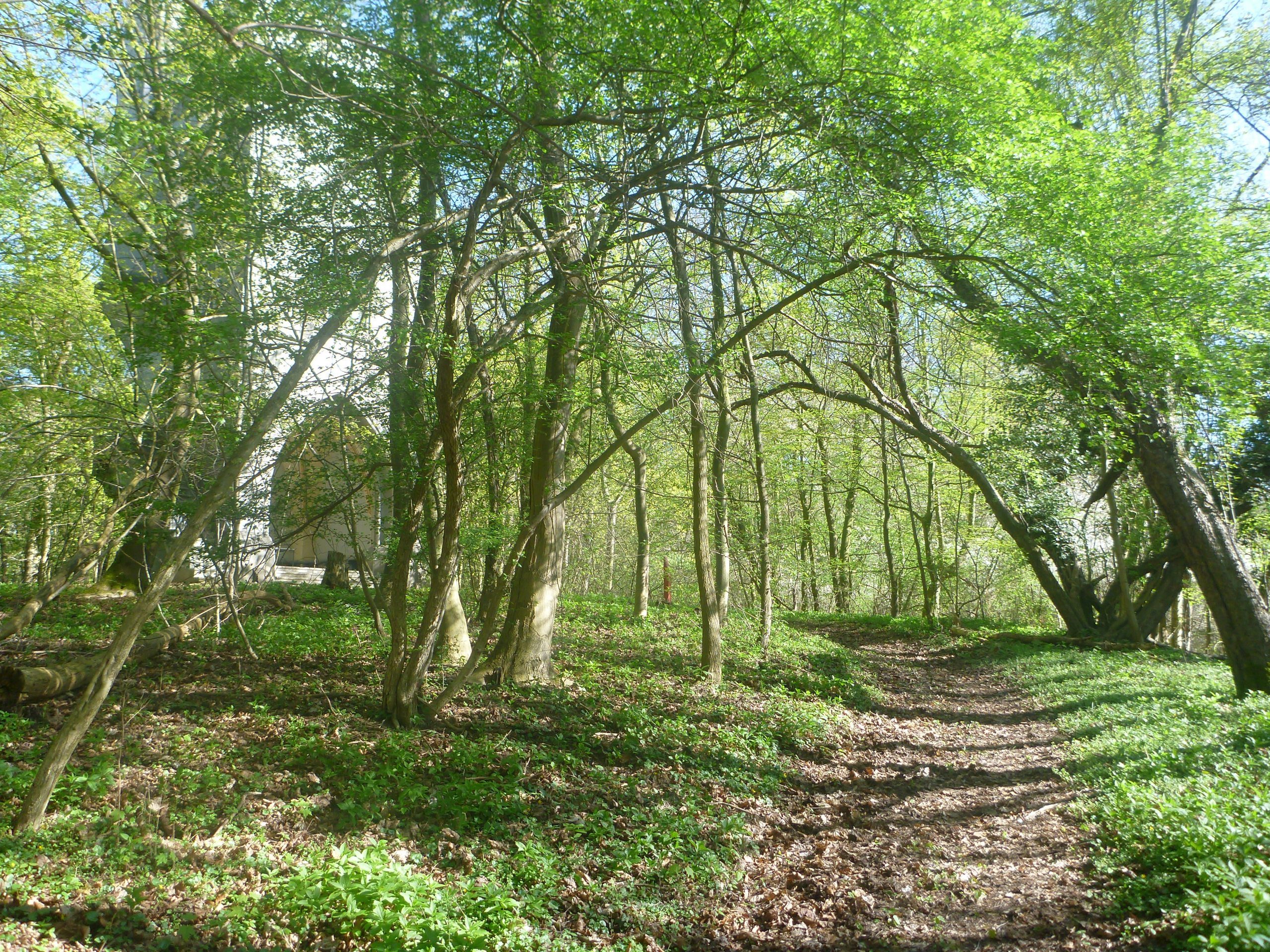 Schweriner-See-Inseln-Schloss-Stein-160