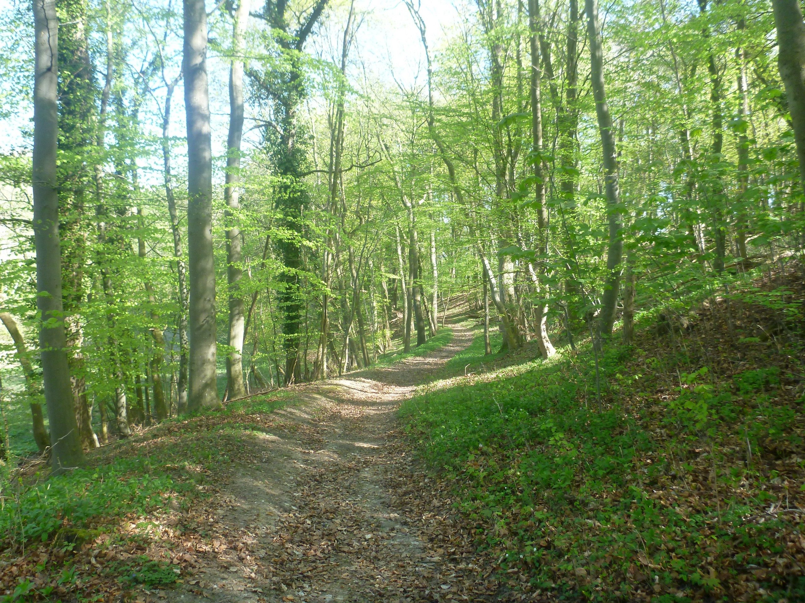 Schweriner-See-Inseln-Schloss-Stein-165