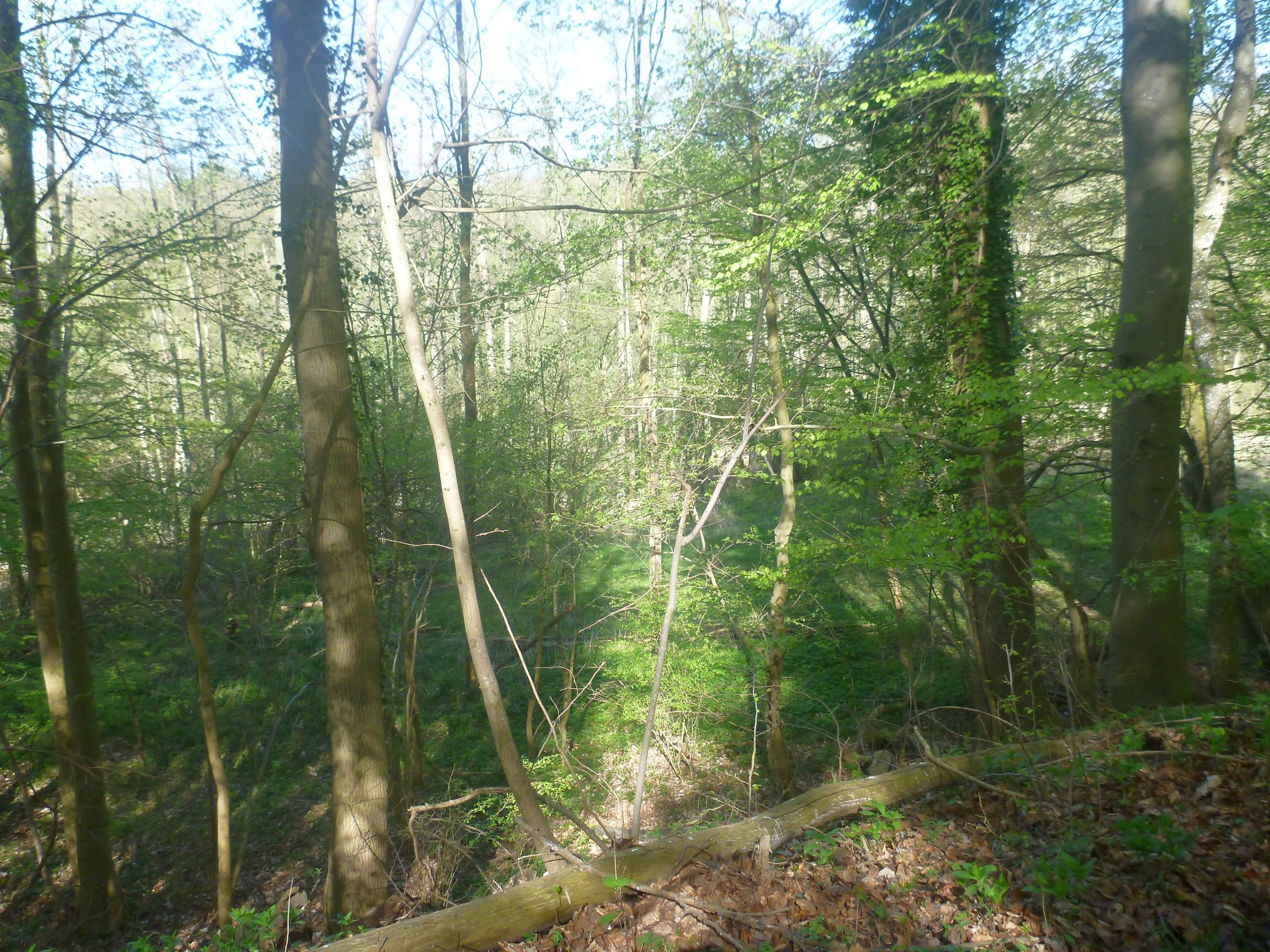 Schweriner-See-Inseln-Schloss-Stein-166