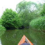 Sternberg-Rostock P1040045