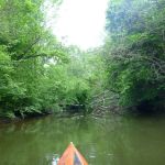 Sternberg-Rostock P1040046