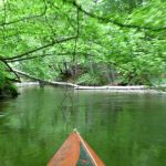 Sternberg-Rostock P1040048