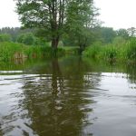 Sternberg-Rostock P1040050