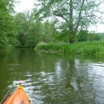 Sternberg-Rostock P1040051