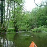 Sternberg-Rostock P1040056
