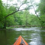 Sternberg-Rostock P1040058