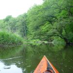 Sternberg-Rostock P1040059