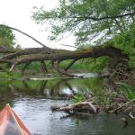 Sternberg-Rostock P1040062