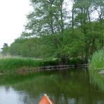 Sternberg-Rostock P1040063