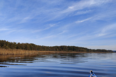 IMG20221027112514