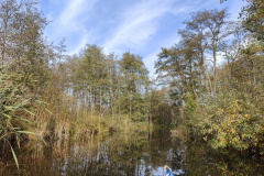 IMG20221027114448