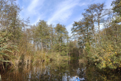 IMG20221027114449