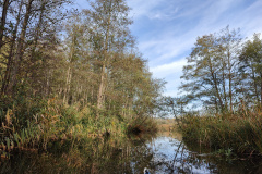IMG20221027114610