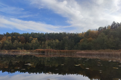IMG20221027115455