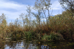 IMG20221027121107